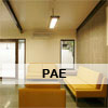 PAE